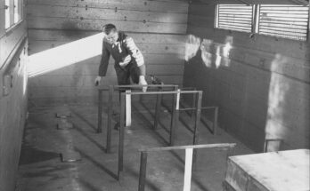 Psychotechnische Versuchsstation der Reichsbahn Kletterübungen im Güterw
