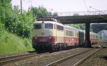 TEE DB BR 112