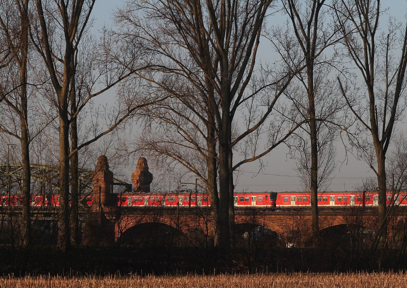 S Bahn Langzug der Baureihe 420 auf der Mainbrücke Kostheim
