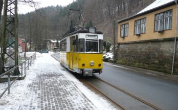 Kirnitzschtalbahn Pflanzengarten