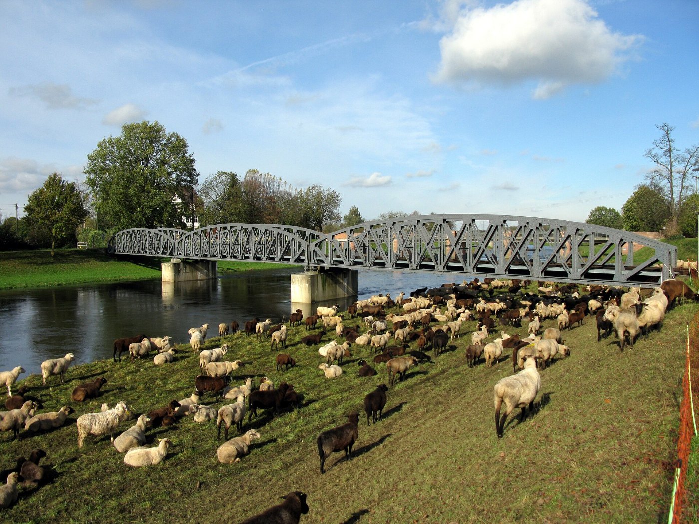 Elz mit Brücke der Kaiserstuhlbahn in Riegel