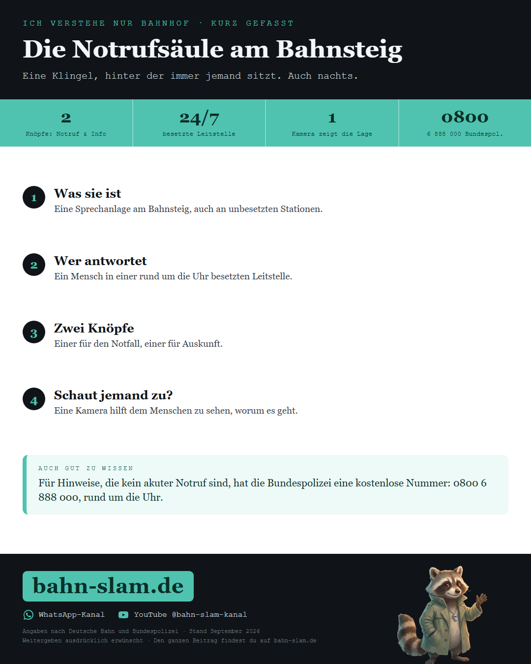 Übersichtsgrafik zum Thema: die wichtigsten Zahlen und Schritte auf einen Blick