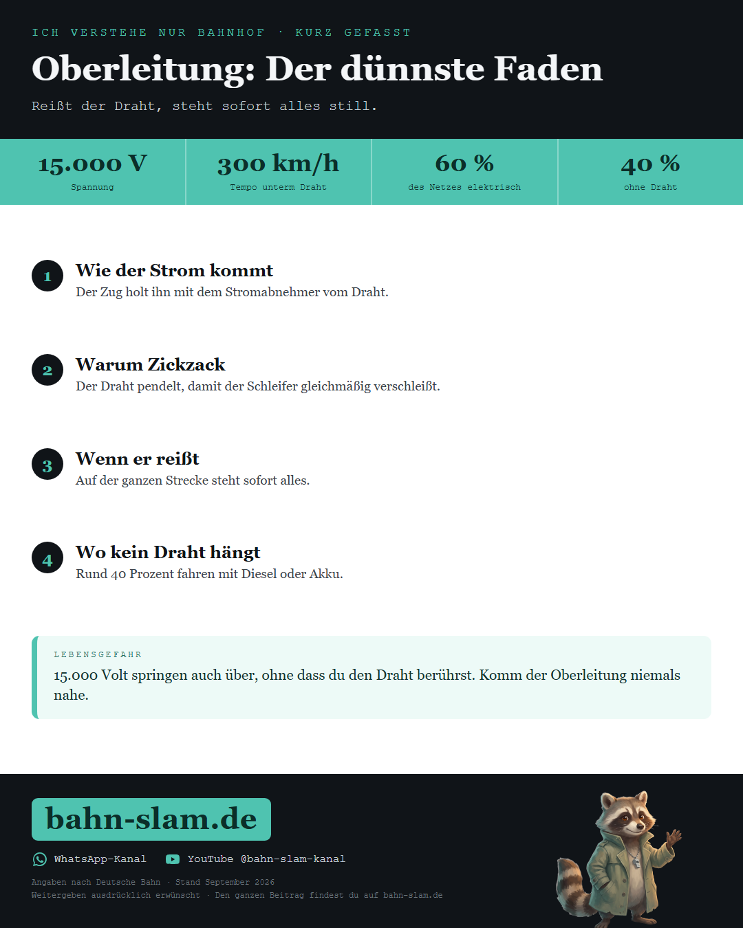 Übersichtsgrafik zum Thema: die wichtigsten Zahlen und Schritte auf einen Blick