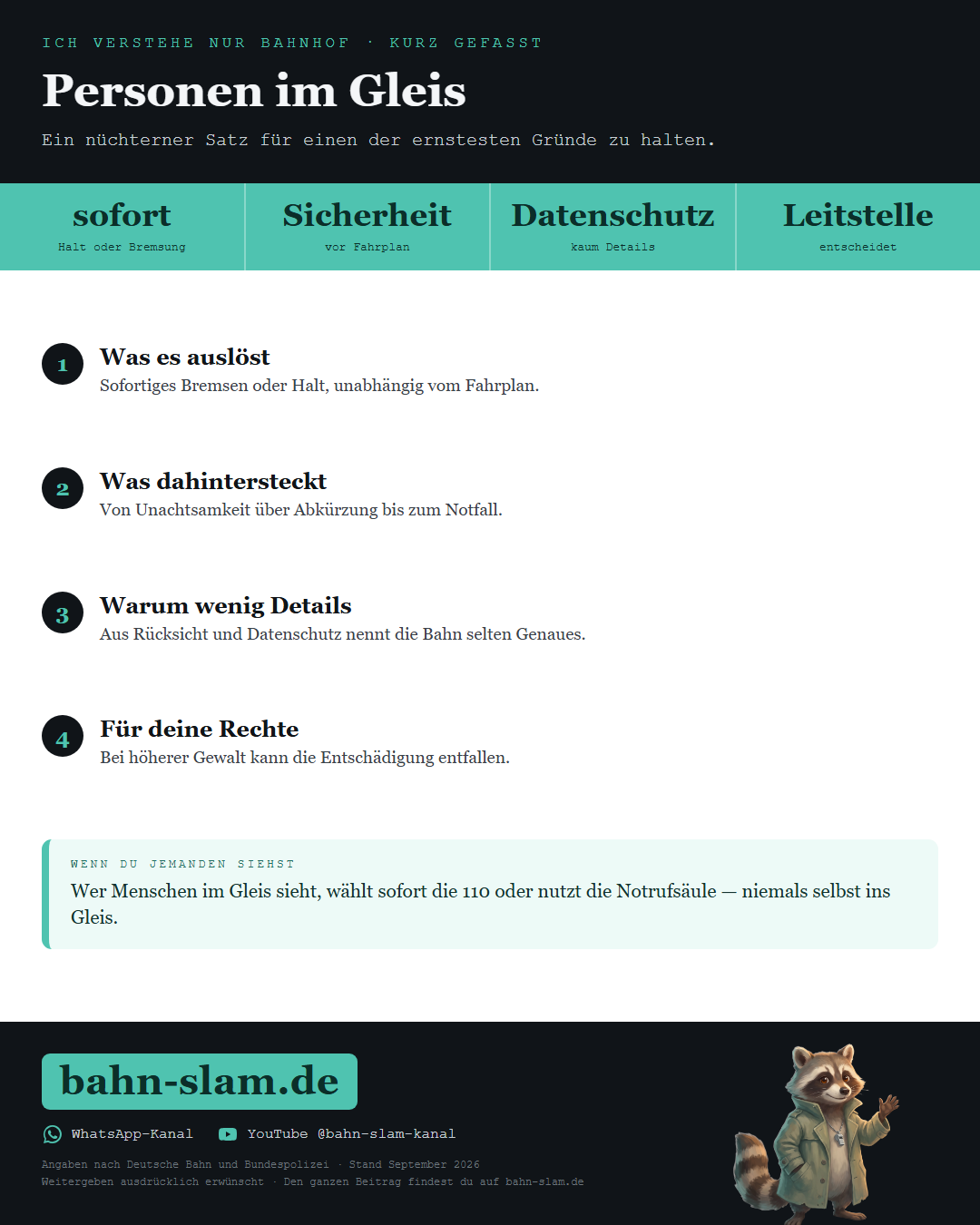 Übersichtsgrafik zum Thema: die wichtigsten Zahlen und Schritte auf einen Blick