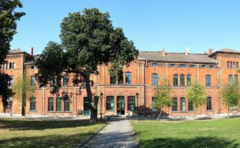 Malchin Bahnhof 2009 09 08 135p