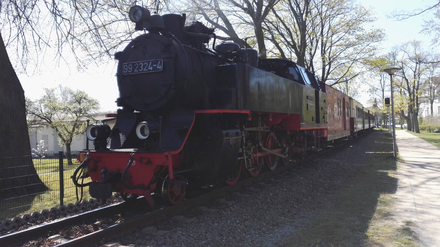 Die Dampfbahn Molli fährt durch die Straße von Bad Doberan
