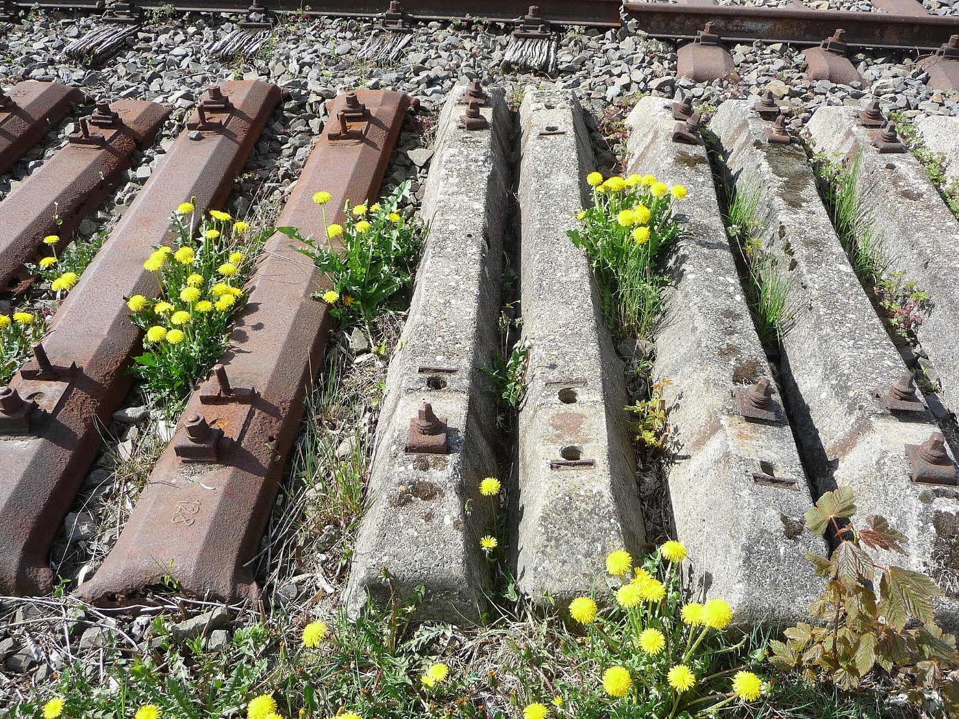Bahnhofsdenkmal Wipperfuerth 24