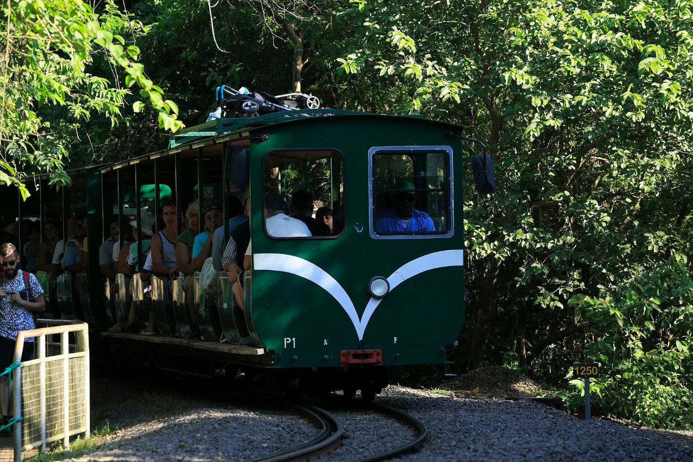 J31 135 Steuerwagen P1