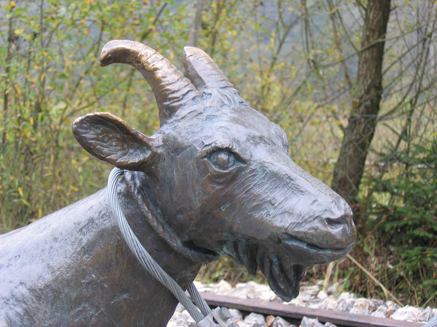 D Bad Waldsee Bahnhof Durlesbach Geissbock