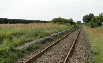 Roggenhagen Bahnstrecke Neubrandenburg Friedland 2011 08 03 096