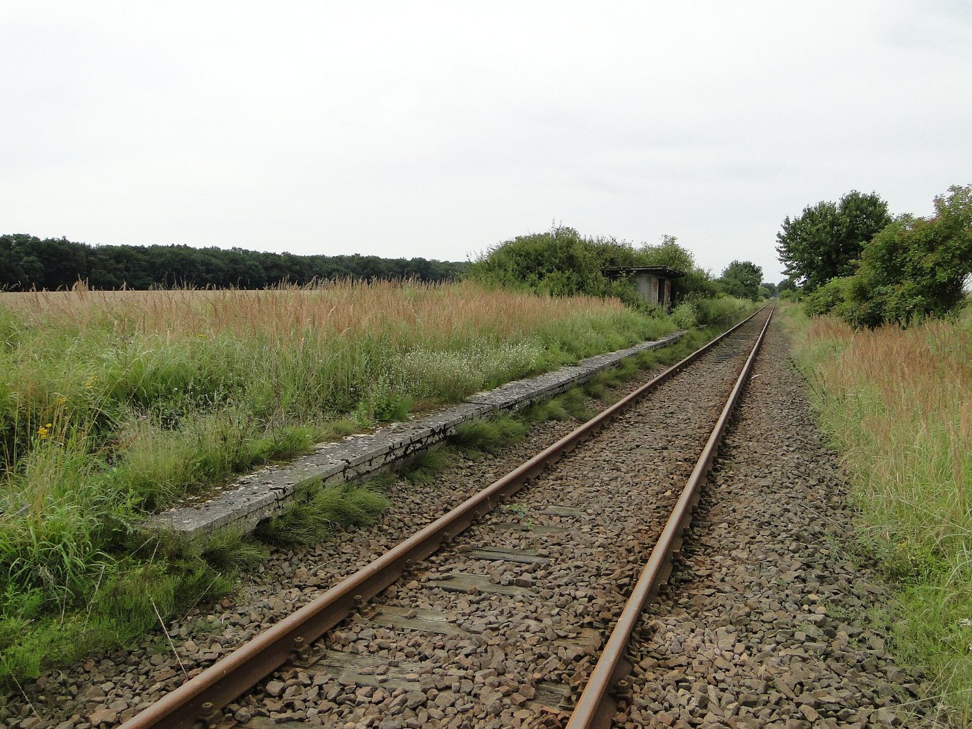 Roggenhagen Bahnstrecke Neubrandenburg Friedland 2011 08 03 096