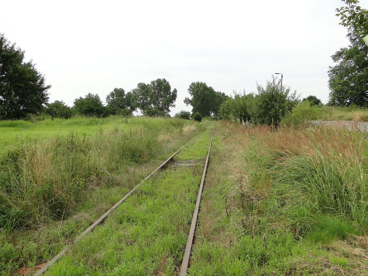 Staven Bahnstrecke Neubrandenburg Friedland 2011 08 03 084