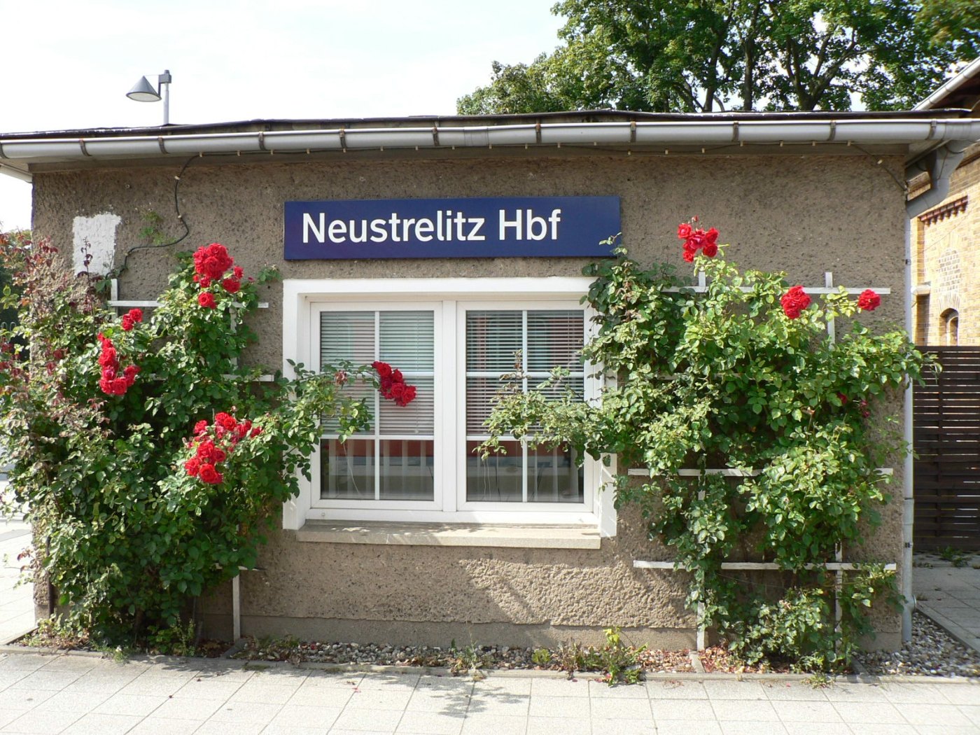 BfNeustrelitz1