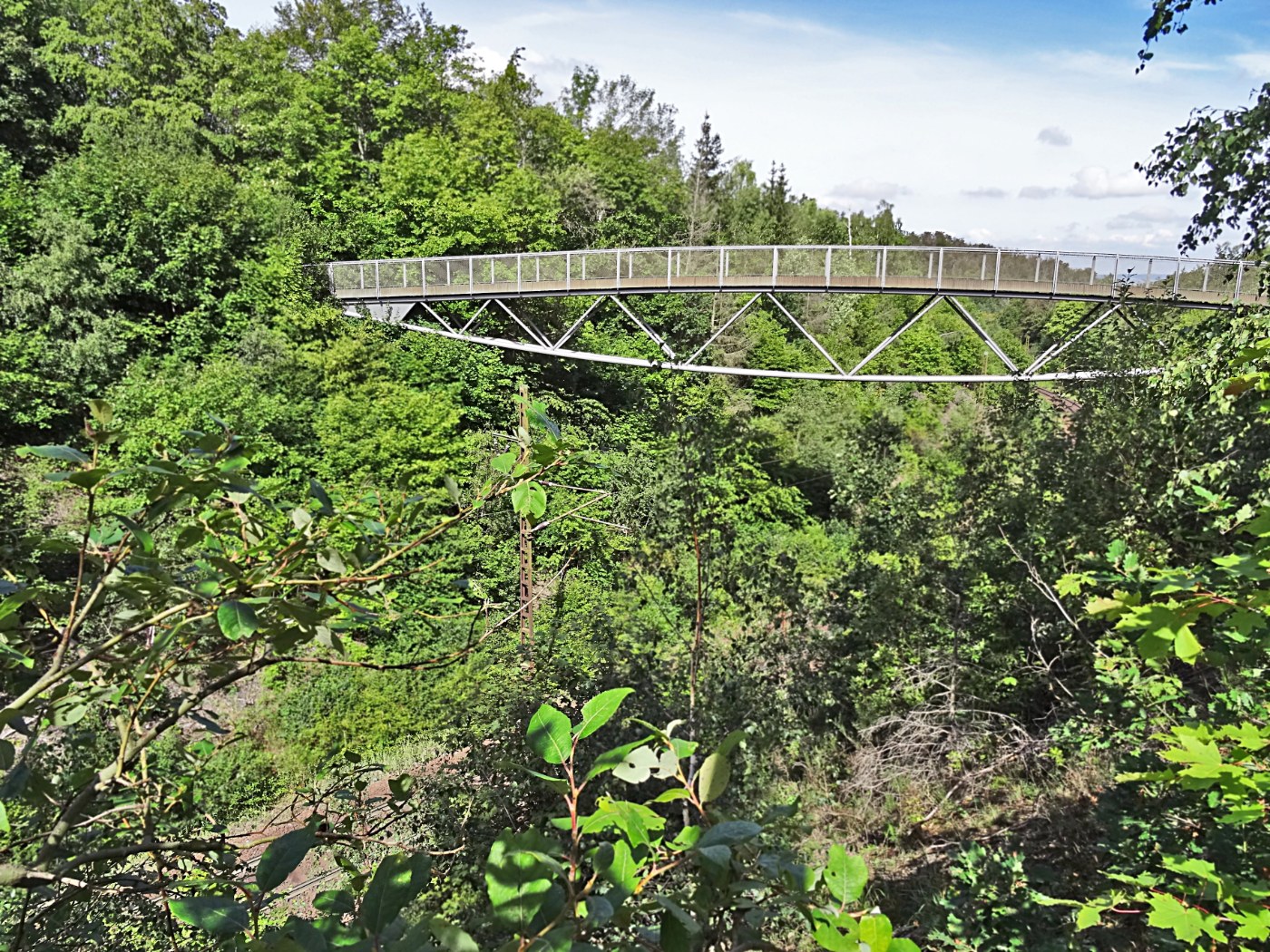 Zug der Rübelandbahn auf der steilen Strecke im Harz