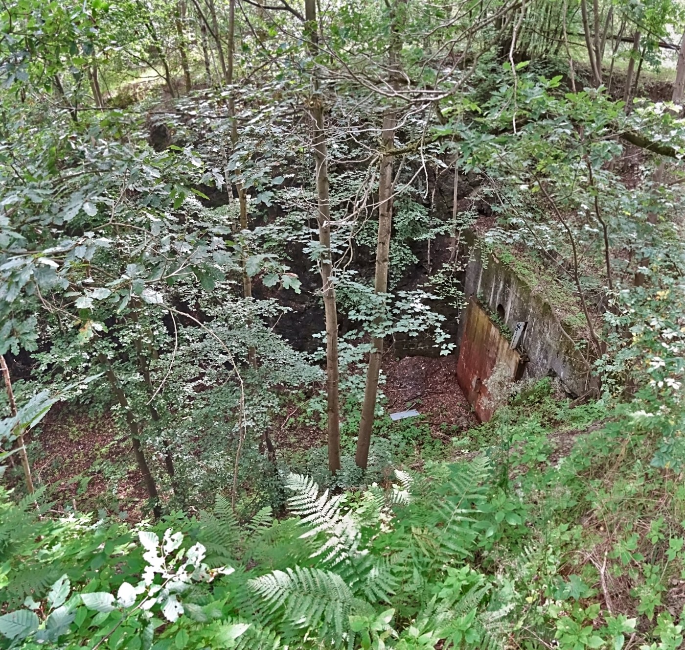 Zug auf der Rübelandbahn im Harz