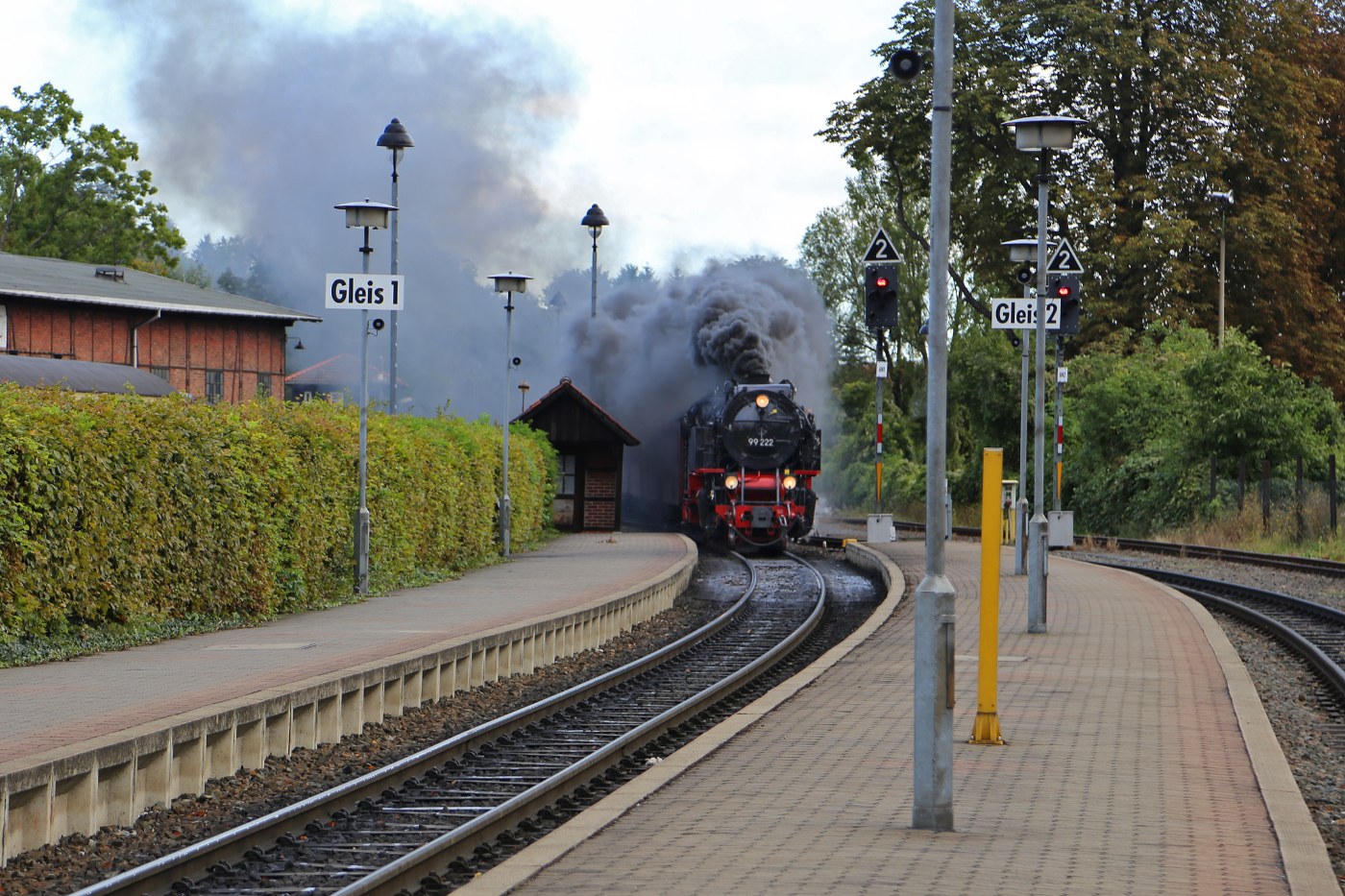Dampfzug der Harzquerbahn in Wernigerode