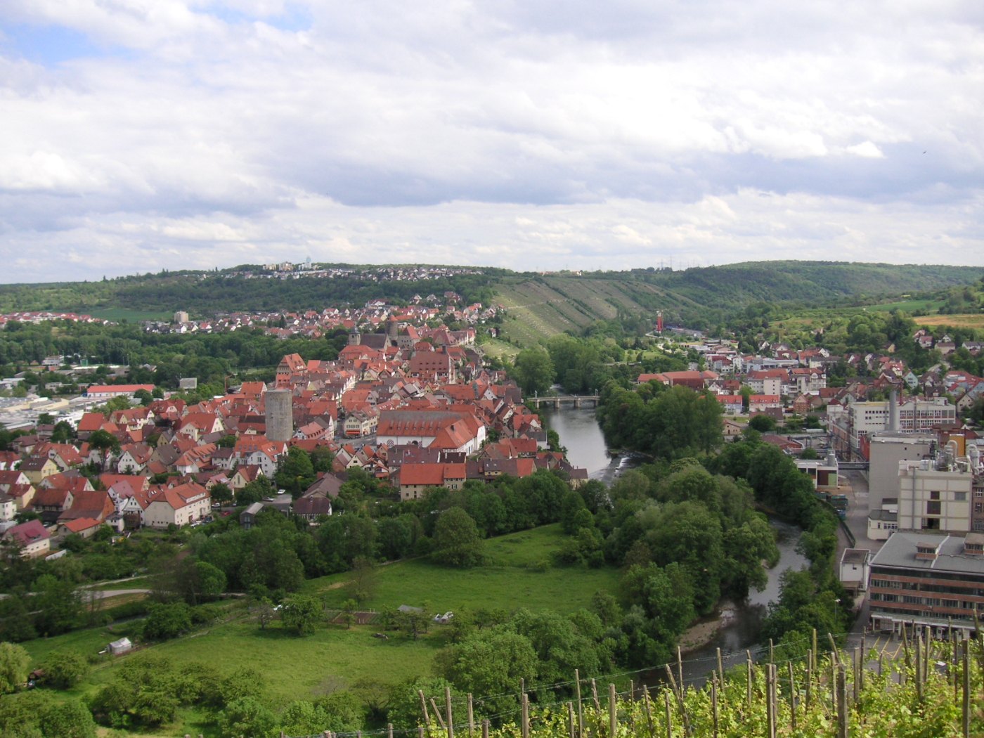 Besigheim Panorama