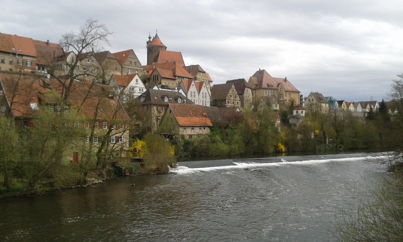 Blick auf Besigheim und Enz