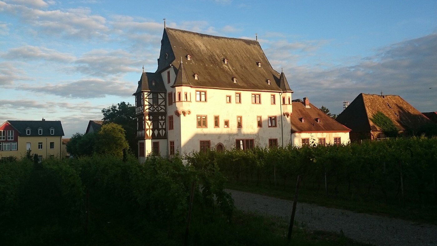 Geisenheim schoenborn 2016
