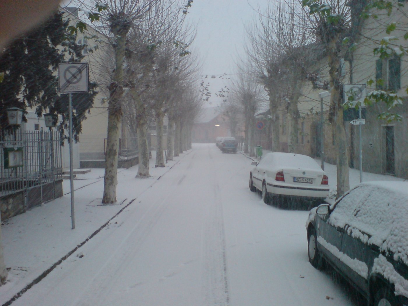 Snowy Street, Trees In Oppenheim