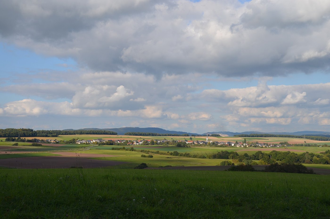 Bergenbeikirn