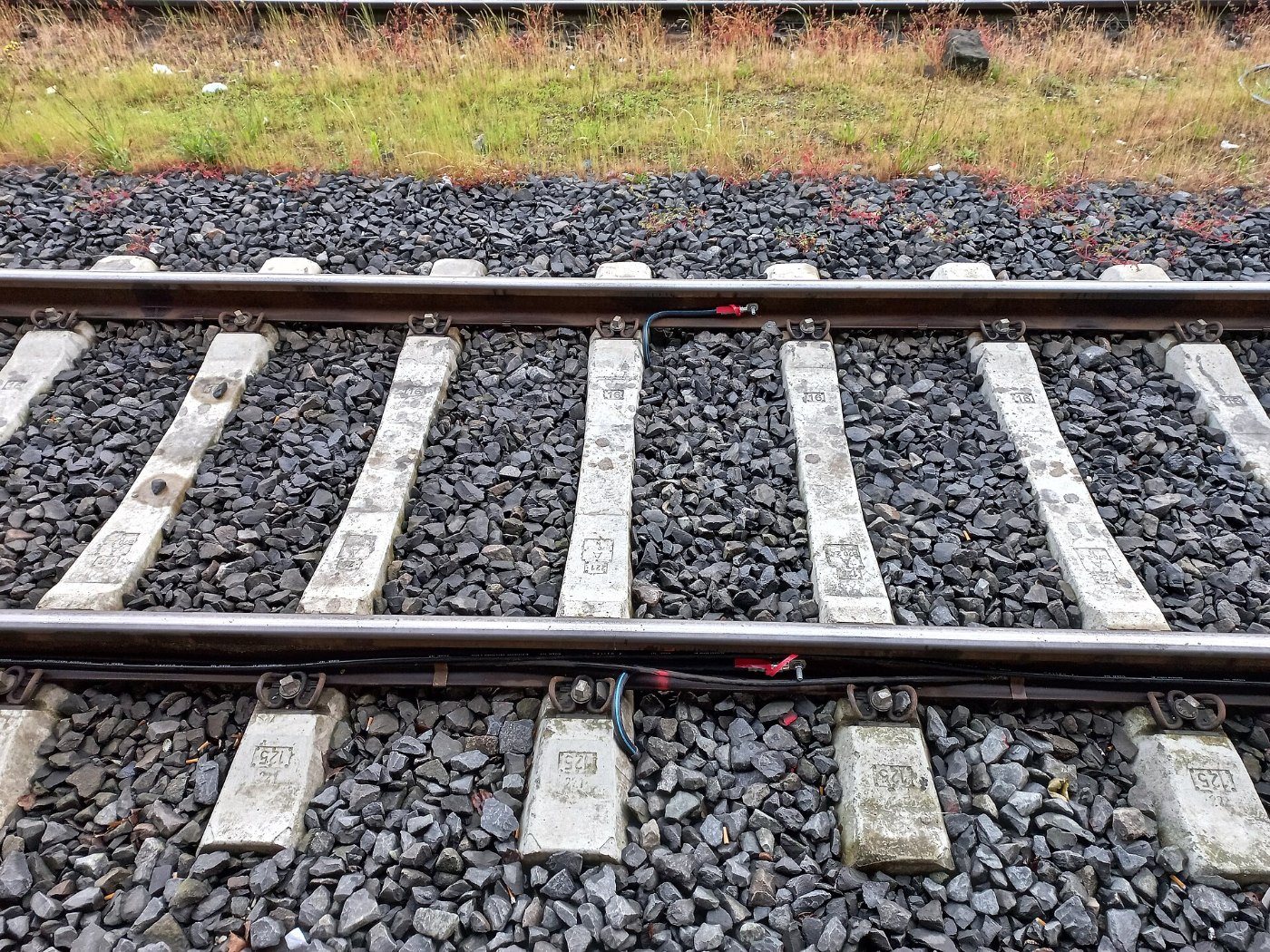 Gleise und Oberleitungstechnik in Friedrichshafen
