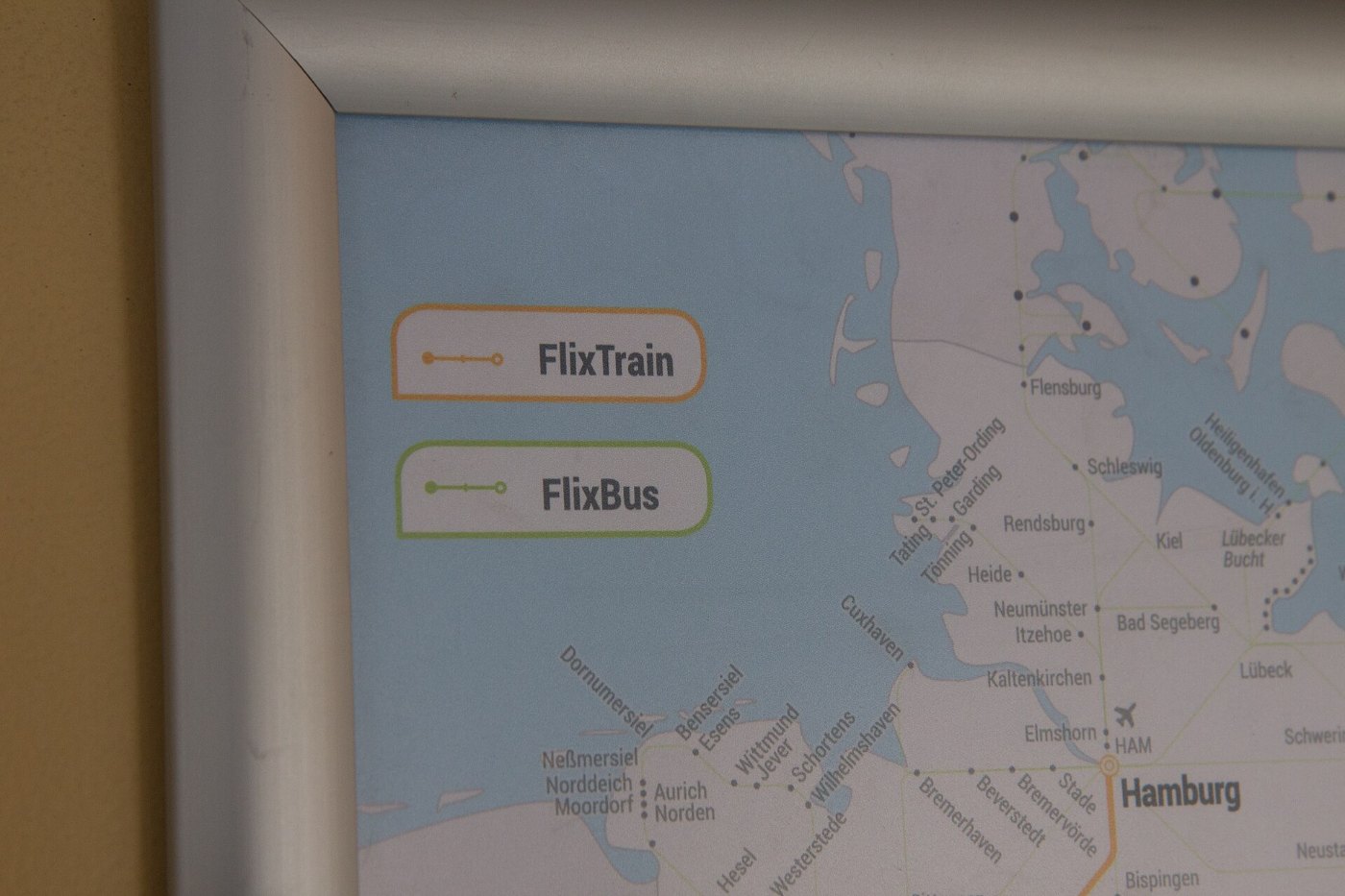 Flixtrain am Bahnsteig