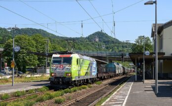 Baureihe 185 mit Güterzug in Königswinter