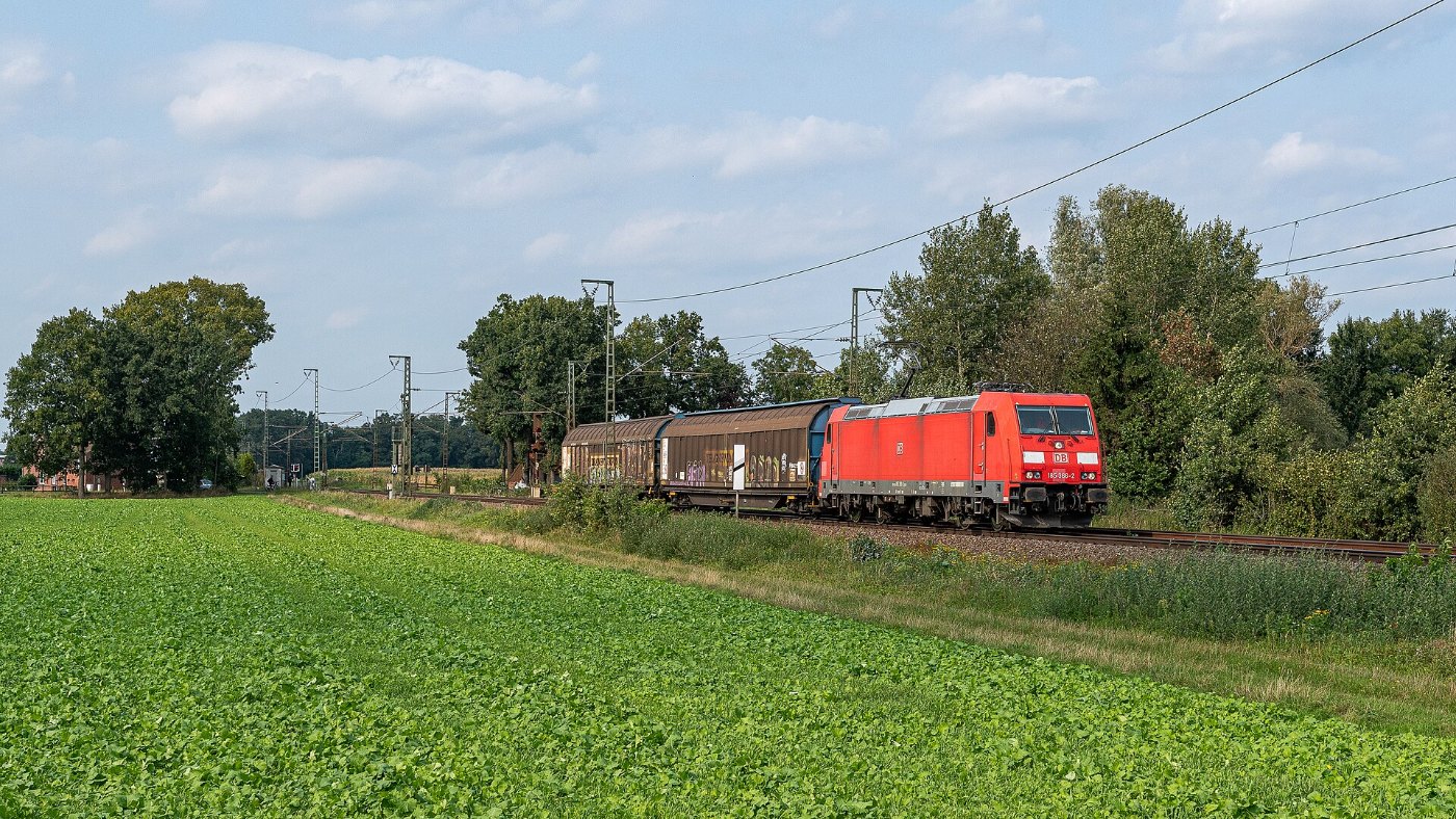 Baureihe 185 mit Güterwagen in Salzbergen