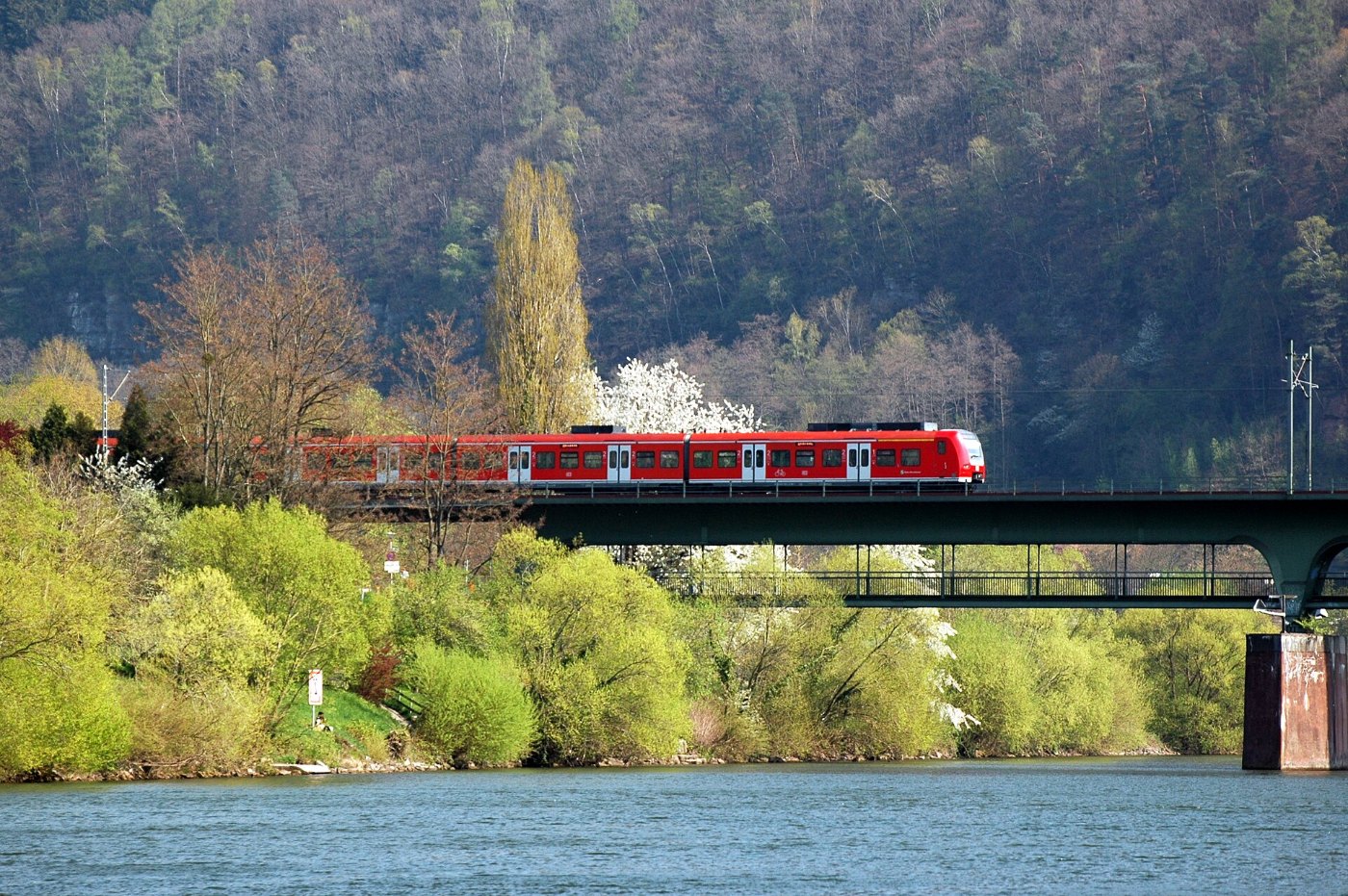 Baureihe 425 auf der Eisenbahnbrücke Neckargemünd