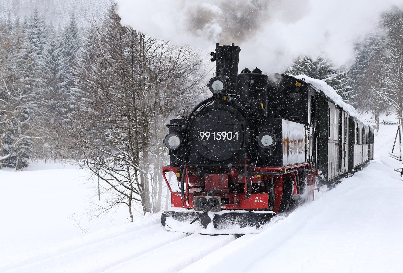 Dampfzug der Preßnitztalbahn bei Forellenhof...2H1A5848OB
