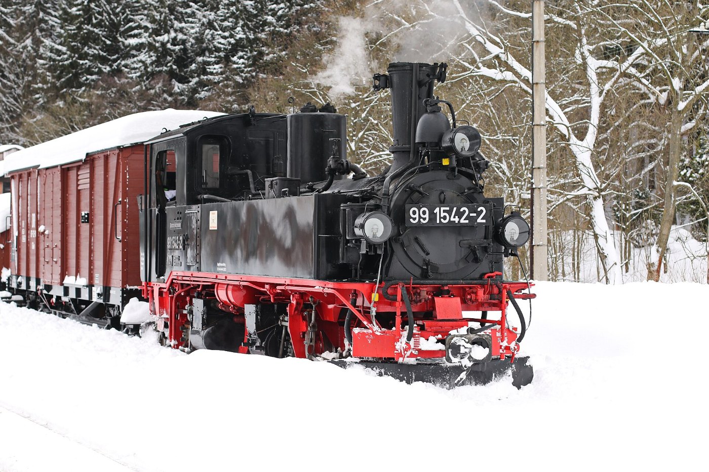 Dampfzug der Preßnitztalbahn..2H1A5328OB