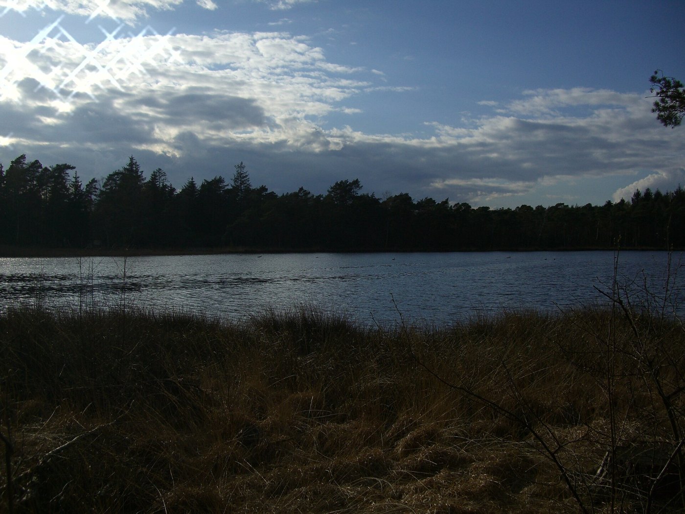 Kleiner Bullensee nach W