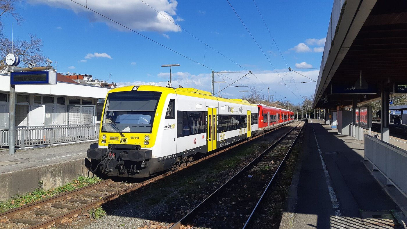 Radolfzell Baureihe 650 März 2024