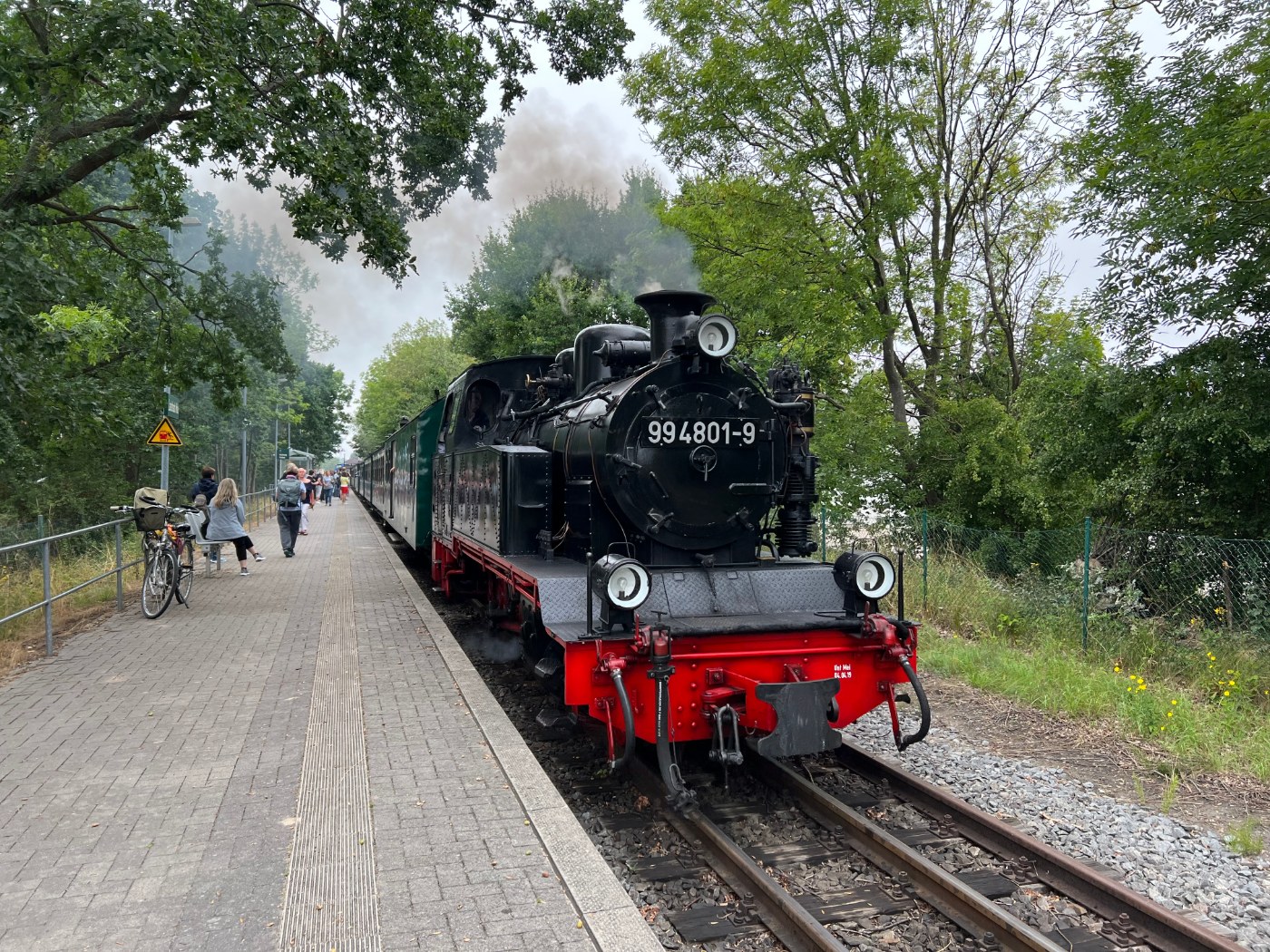 Rasender Roland in Lauterbach
