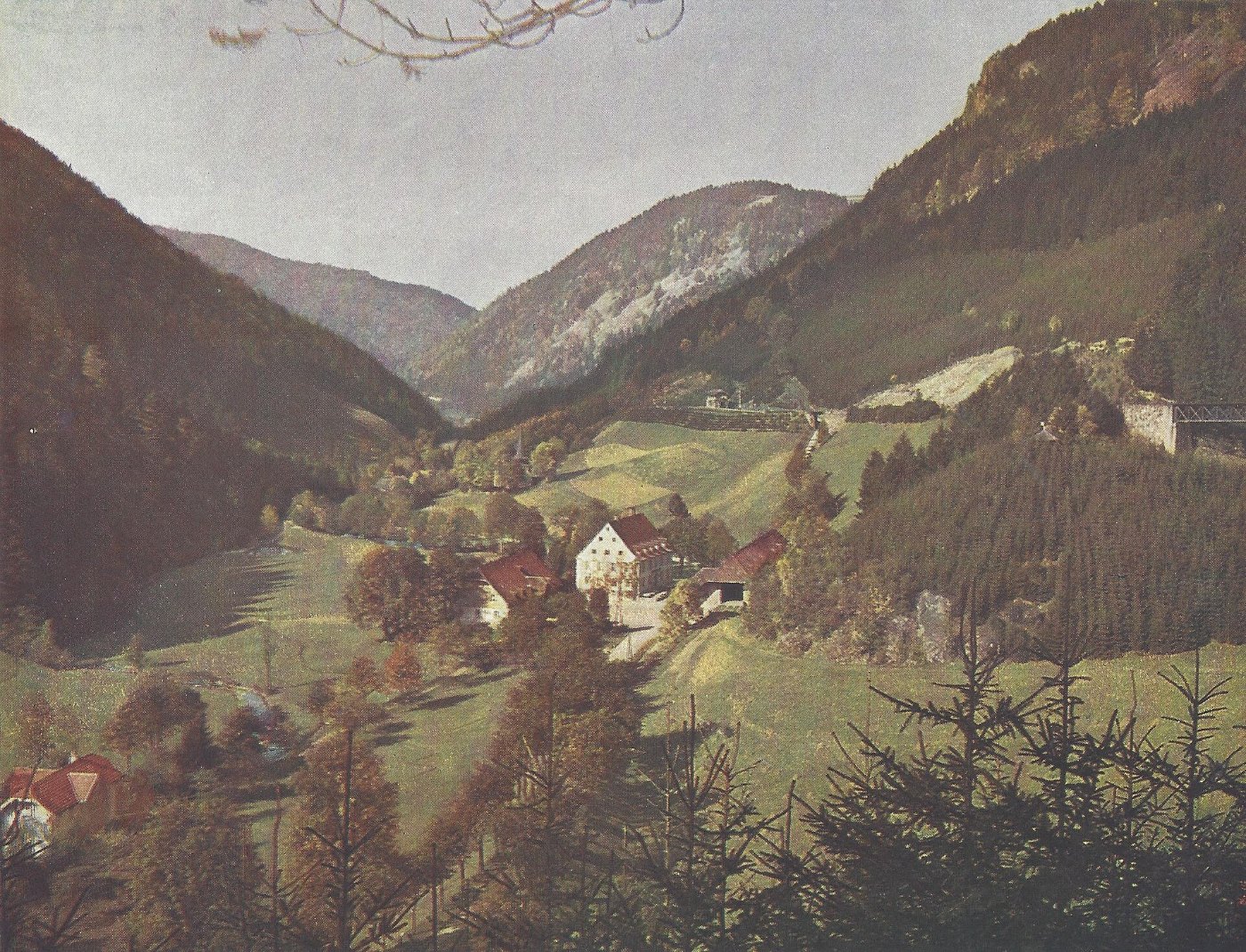 Black Forest Autochrome 22 Höllental