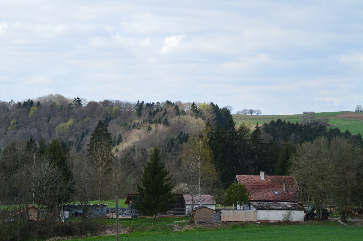 Zug der Sauschwänzlebahn an einem Haltepunkt