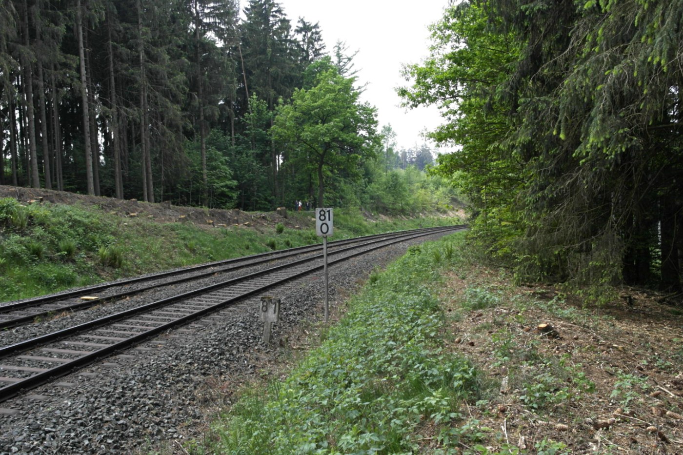 Die Schiefe Ebene, Steilrampe der Bahn