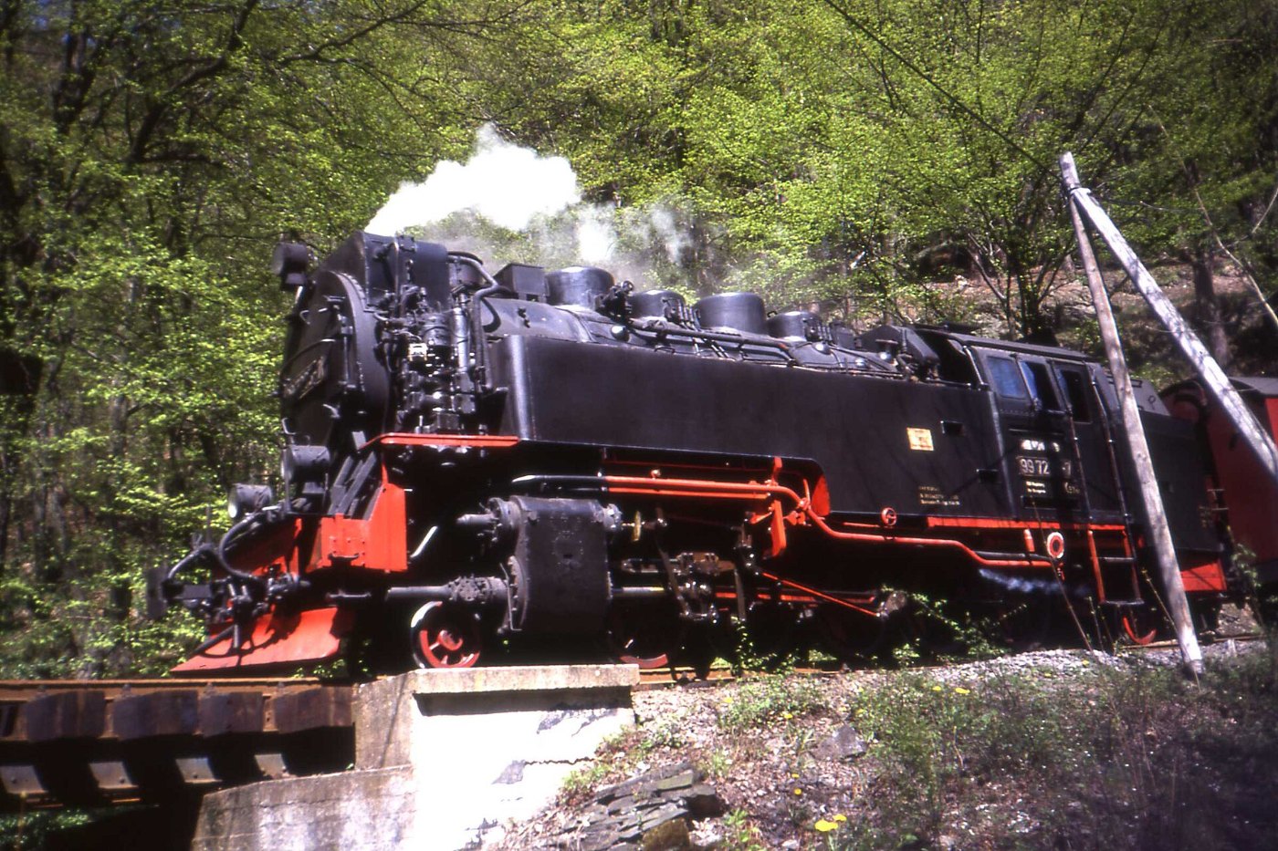 The Selketalbahn bei Alexisbad. May 1990