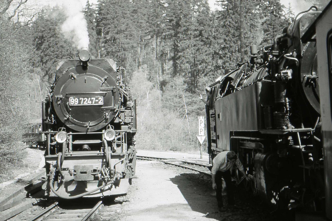 Mägdesprung, DDR May 1990 on ORWO UP15