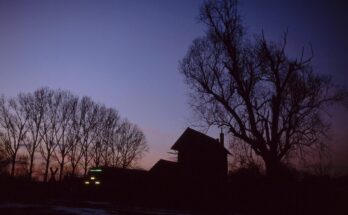 628 am Stellwerk As in Armsheim (Rheinhessen)