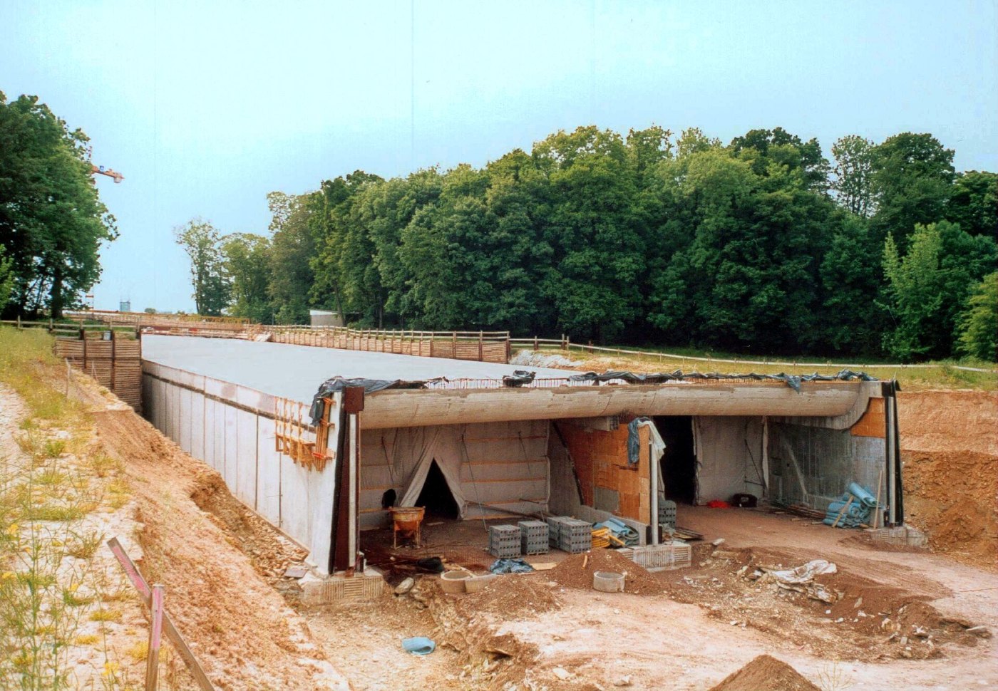 AR Dresden Altfranken Grünbrücke A17