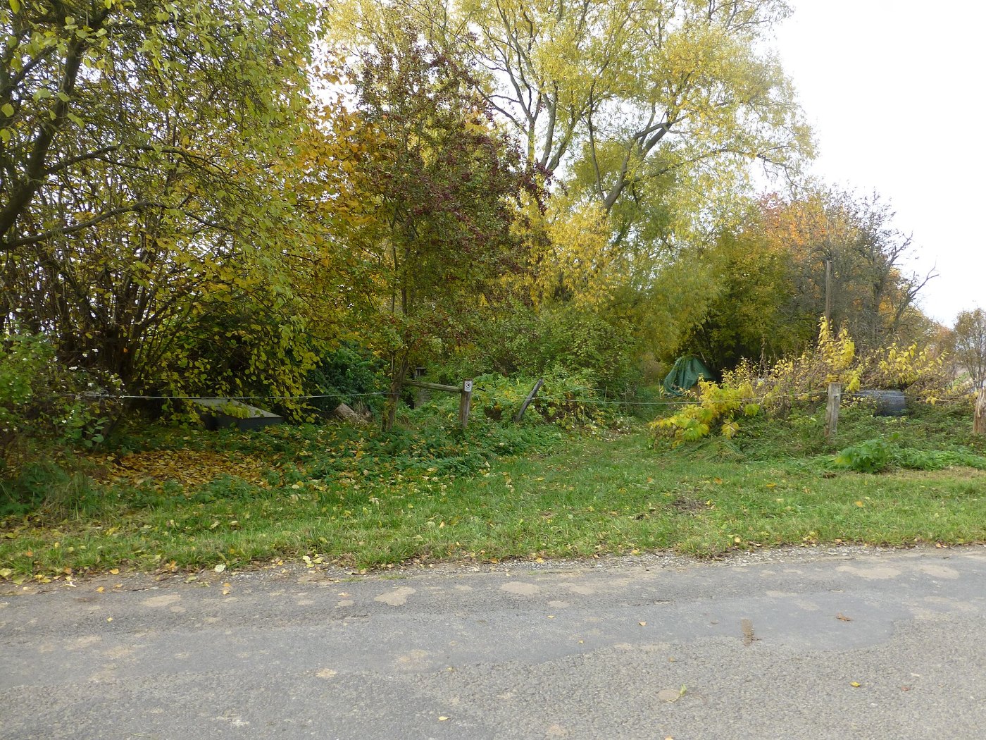 Hottenrode Bahndamm 1