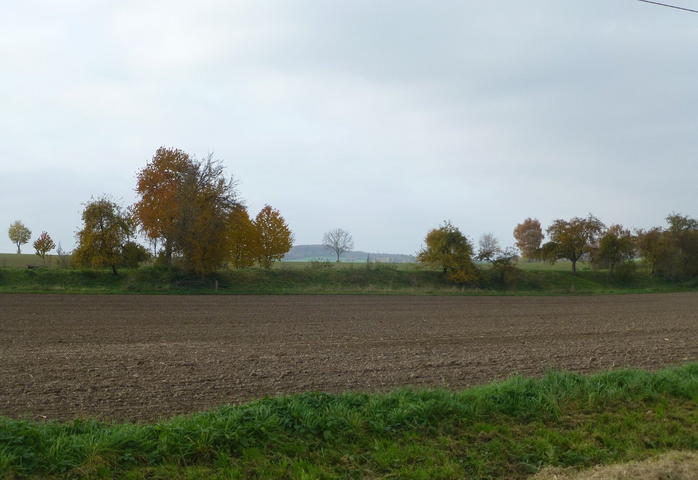 Niedergandern Bahndamm 2
