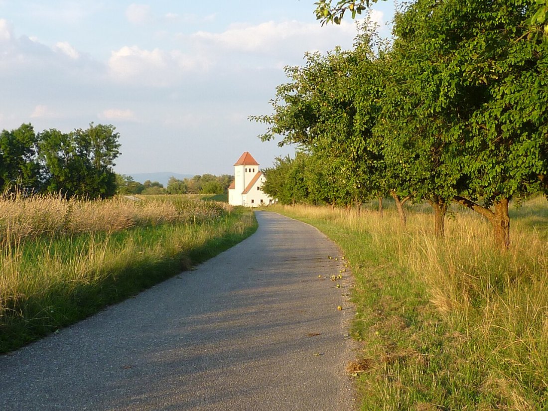 Donauradweg bei Straubing Hornsdorf
