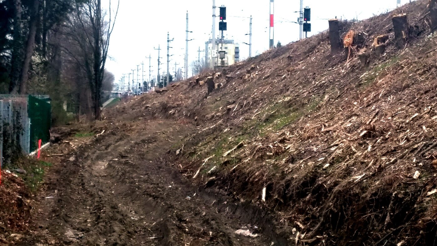 Bahndamm Ri Hetzendorf Verbreiterung12jpg