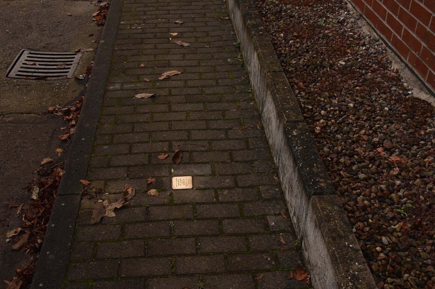 Stolperstein in Schwedt (Oder) 2 (Schwedt (Oder))
