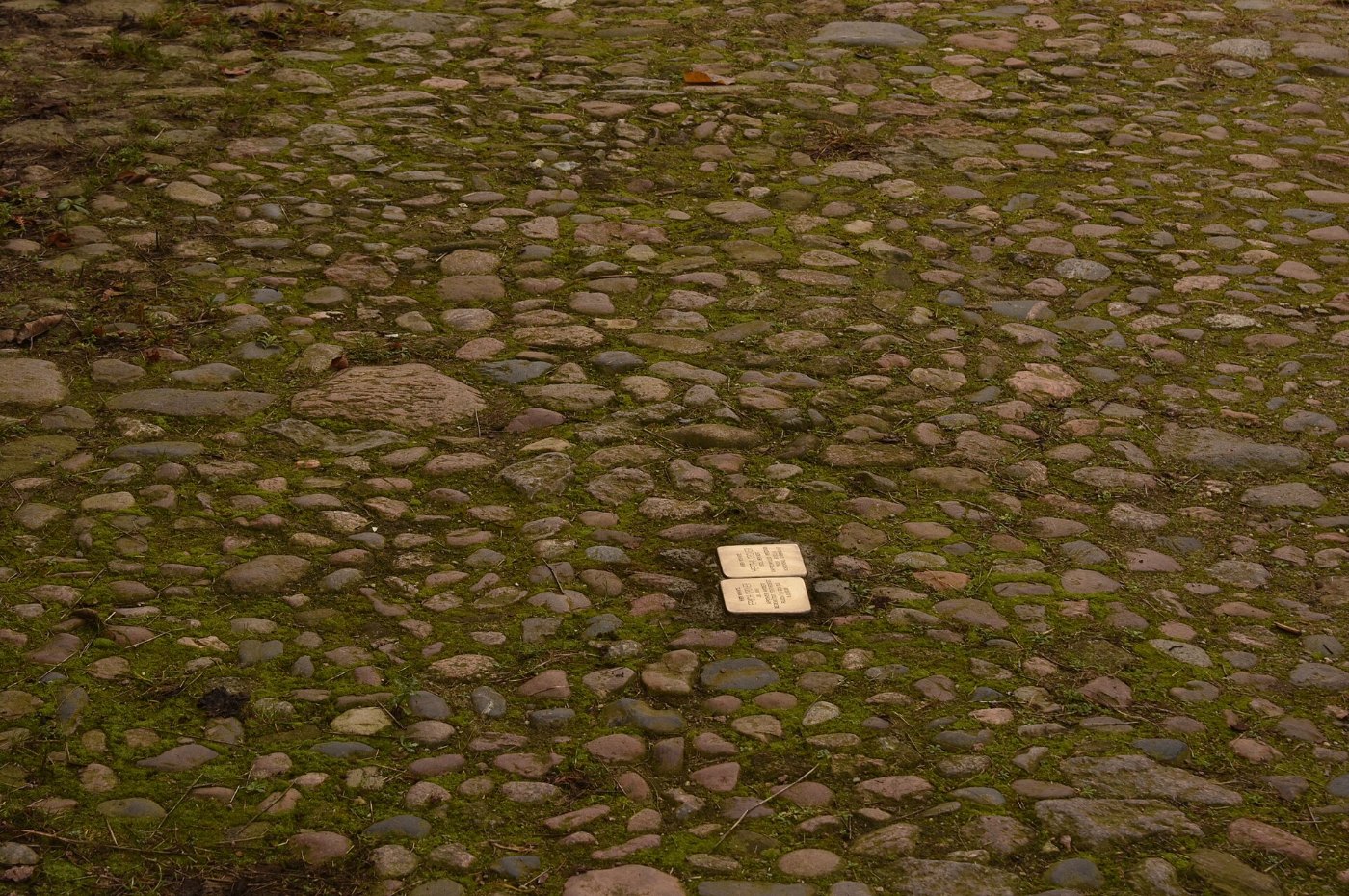 Stolpersteine in Schwedt (Oder) 6 (Schwedt (Oder))