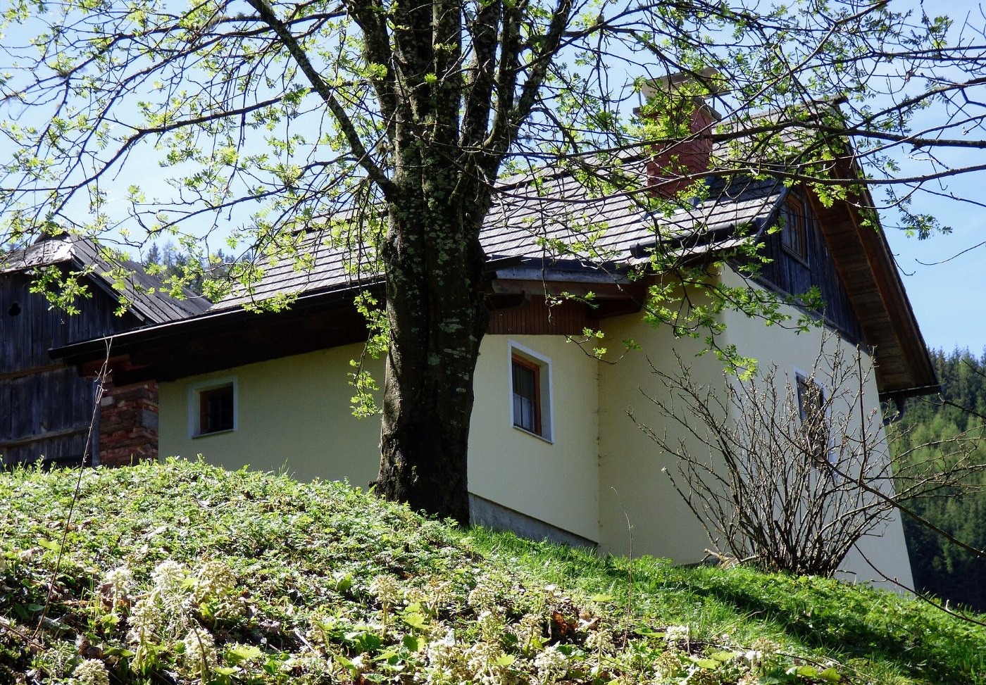 Andreaskreuz 8 01