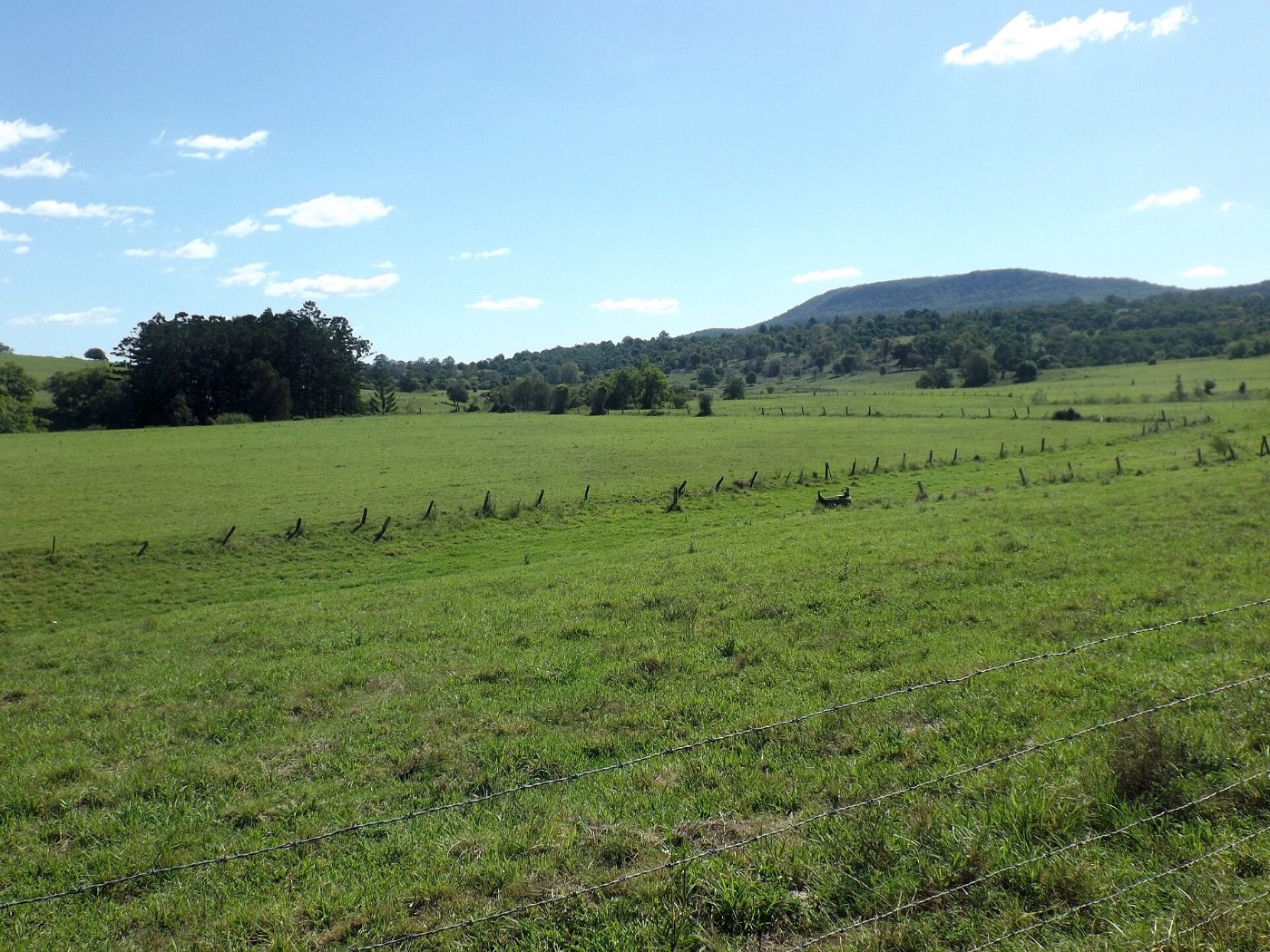 Paddocks along Kents Pocket Road at Templin Queensland 3